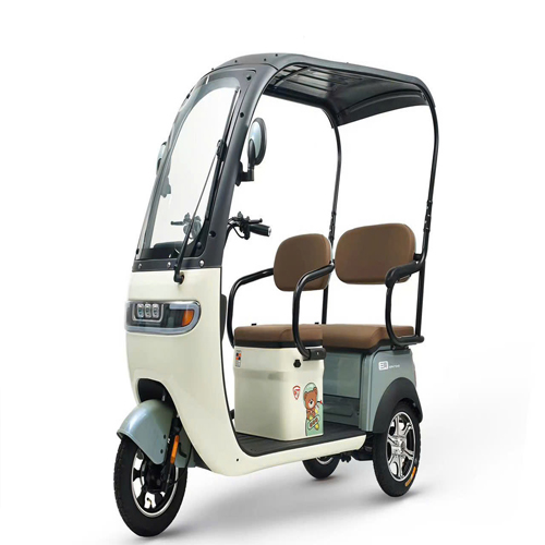 Bán xe điện 3 bánh ở Bình Phước chất lượng nhất