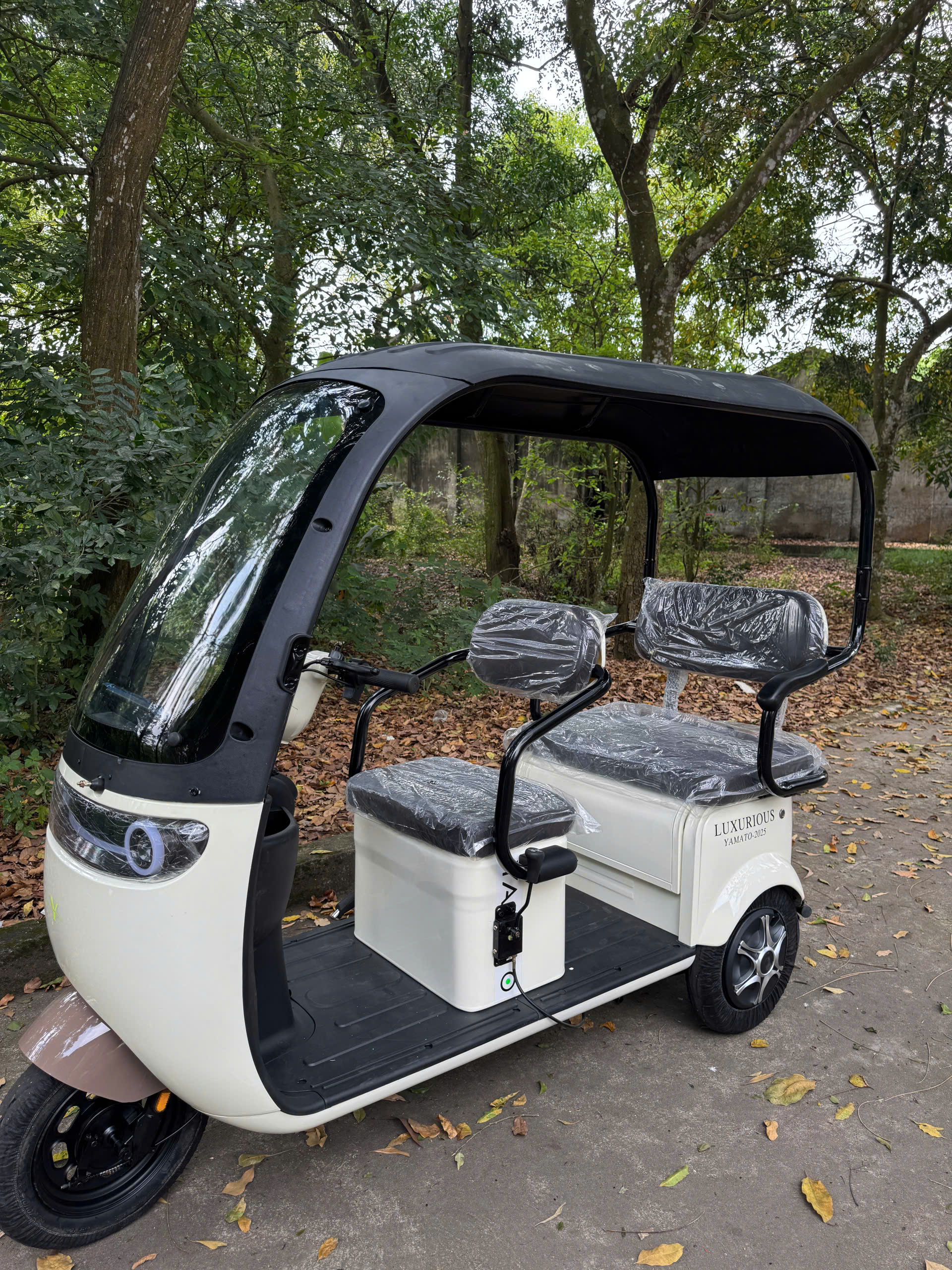 Xe điện 3 bánh giá rẻ