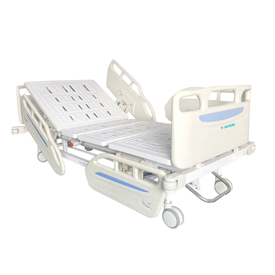 Giường y tế cho Người Già Ikigai GH-D02-4