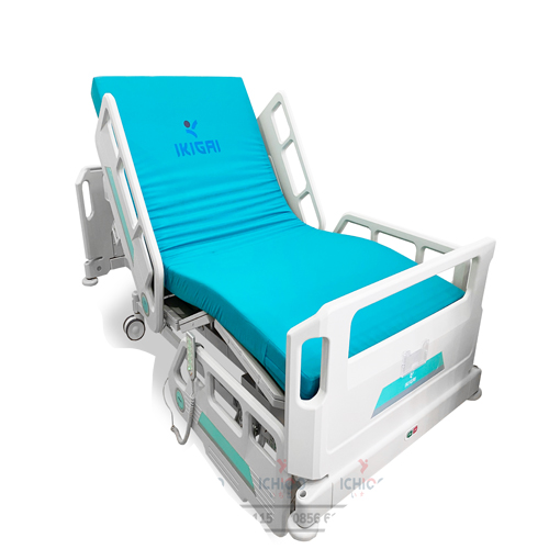 Giường bệnh ICU cao cấp Ikigai GH-D02-2